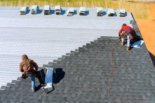 Best Roof Gutter Cleaning  in Logansport, LA